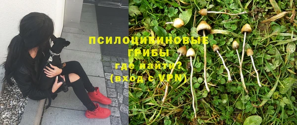 гидропоника Алексеевка